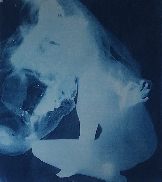 Klara Meinhardt: Egosun #7, 2016, cyanotype on canvas, 110 x 94 cm