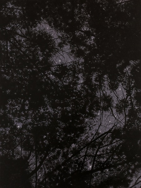 Rebecca Partridge: 12 Hr Canopy: 12/6/12, 2015, Triptychon Teil 1, 
Aquarell und Tinte auf Holz, 40,6 x 30,7 cm

