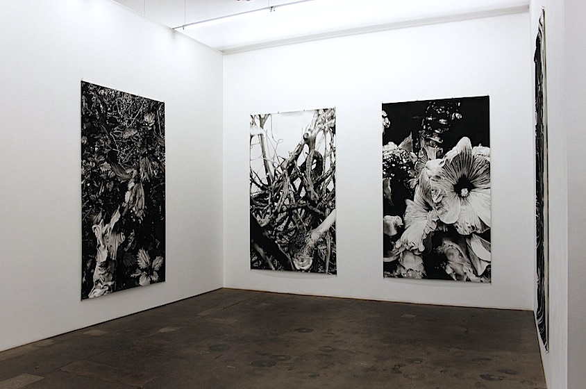 Peter Hock: Ossanatenlandschaft, 2014, bei Josef Filipp, Ausstellungsansicht [Reißkohle auf Papier, je 240 x 150 cm]
