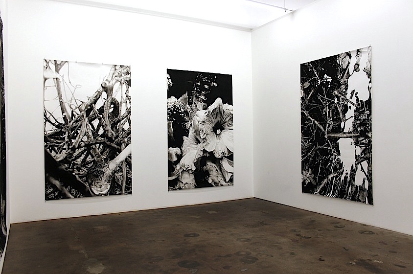 Peter Hock: Ossanatenlandschaft, 2014, bei Josef Filipp, Ausstellungsansicht [Reißkohle auf Papier, je 240 x 150 cm]
