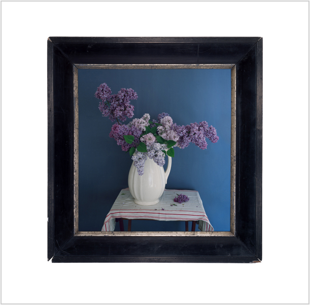 Jill Luise Muessing: Flieder im Waschkrug, 2012, C-Print hinter Acryl, 58 x 57 cm, Auflage 7+2

