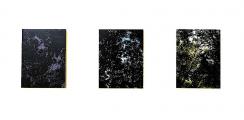 Rebecca Partridge: 12 Hr Canopy: 12/6/12, 2015, Triptychon, Aquarell und Tinte auf Holz, je 40,6 x 30,7 cm
/RPA07.5


