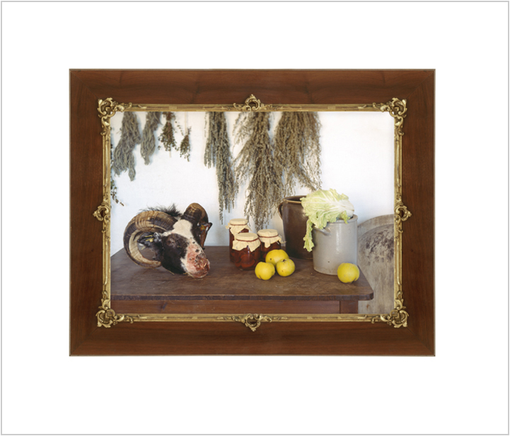 Jill Luise Muessing: Widderkopf mit Salat und Quitten, 2011, C-Print hinter Acryl, 112 x 96 cm, Auflage 3+2


